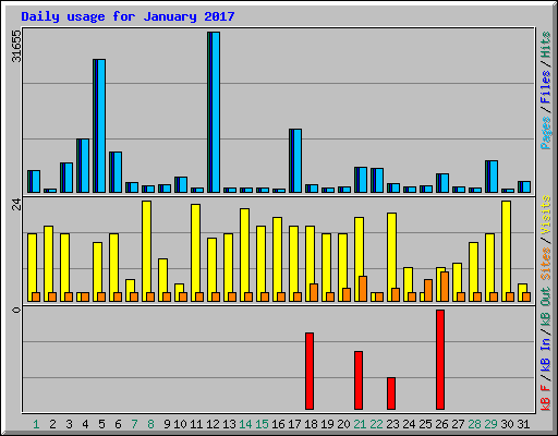 Daily usage for January 2017