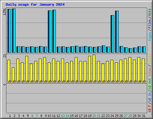 Daily usage for January 2024