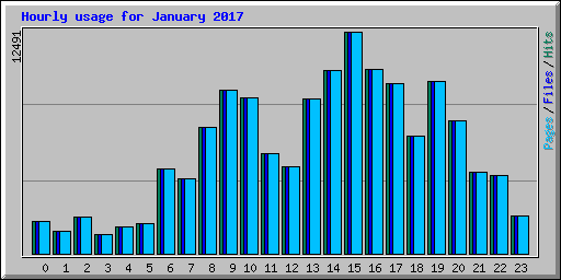 Hourly usage for January 2017