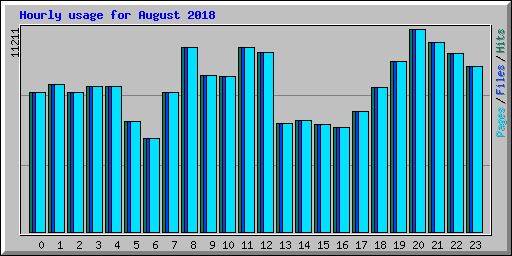 Hourly usage for August 2018