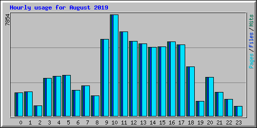 Hourly usage for August 2019