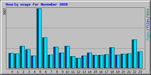 Hourly usage for November 2020