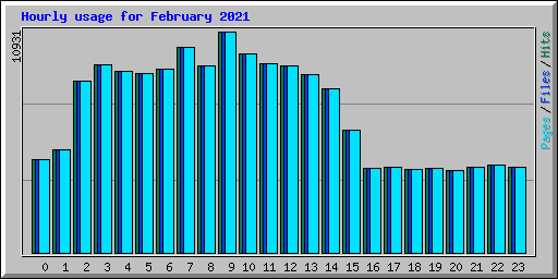 Hourly usage for February 2021
