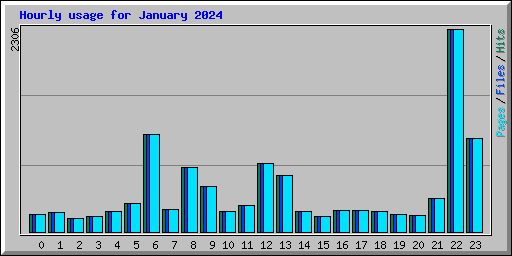 Hourly usage for January 2024