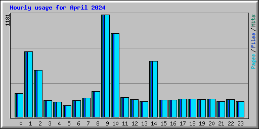 Hourly usage for April 2024
