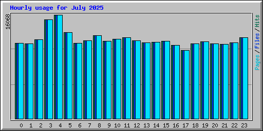 Hourly usage for July 2025