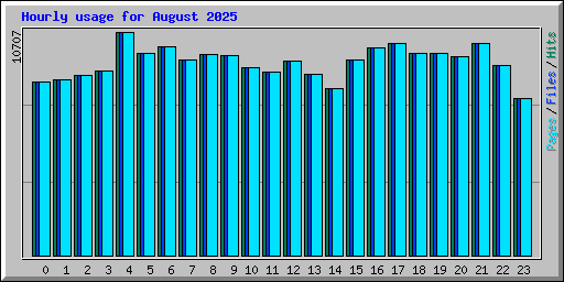 Hourly usage for August 2025