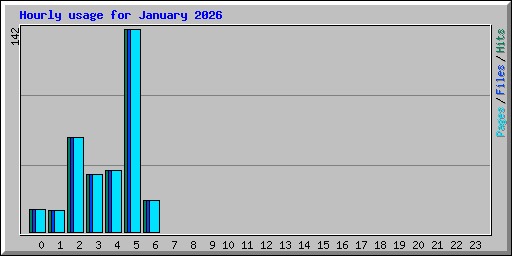 Hourly usage for January 2026