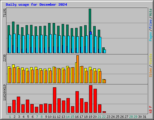 Daily usage for December 2024