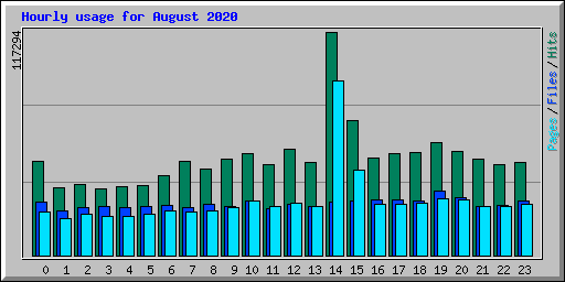 Hourly usage for August 2020