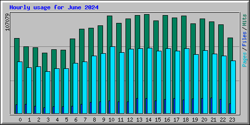 Hourly usage for June 2024