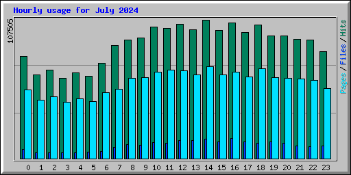 Hourly usage for July 2024