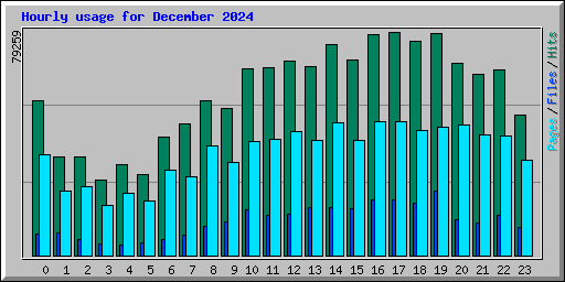 Hourly usage for December 2024