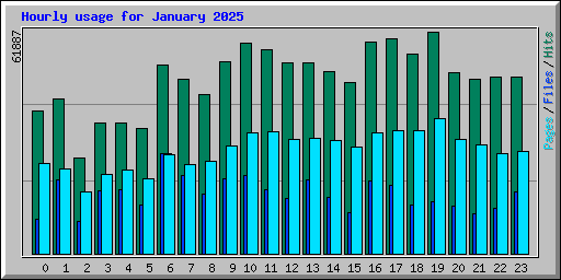 Hourly usage for January 2025