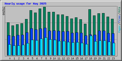 Hourly usage for May 2025