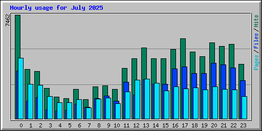 Hourly usage for July 2025