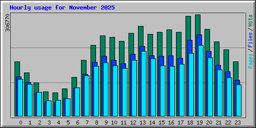 Hourly usage for November 2025