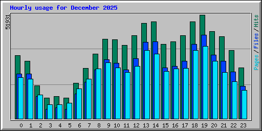 Hourly usage for December 2025