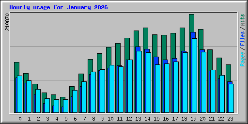 Hourly usage for January 2026