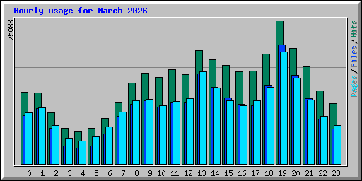 Hourly usage for March 2026
