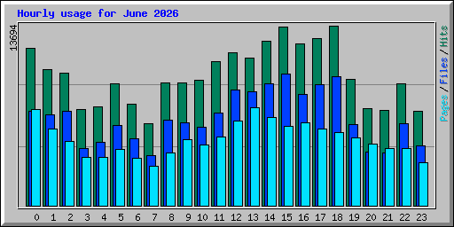 Hourly usage for June 2026